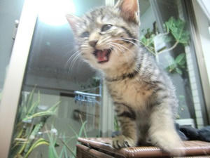 DSCF3760.JPG
