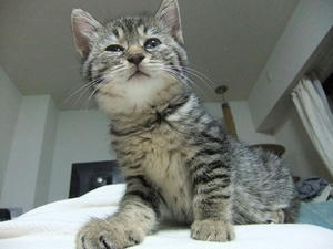 DSCF3805.JPG