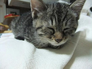 DSCF3809.JPG