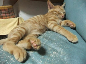 DSCF3852.JPG
