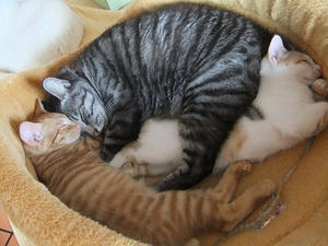 DSCF3859.JPG