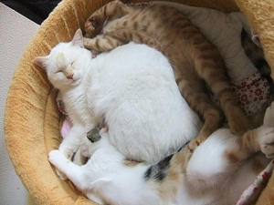 DSCF3876.JPG