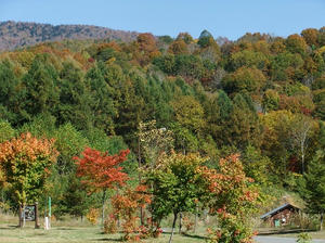 DSCF3933.JPG