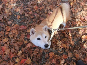DSCF3930.JPG