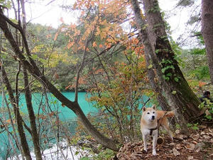 DSCF3896.JPG