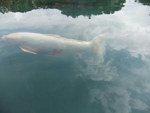 DSCF3910.JPG