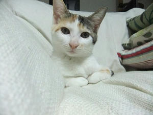 DSCF3883.JPG