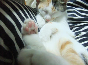 DSCF3997.JPG