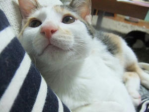 DSCF4033.JPG