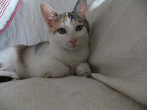 DSCF3977.JPG