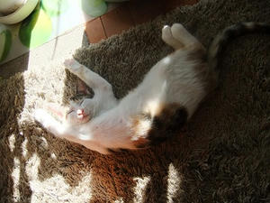 DSCF4046.JPG