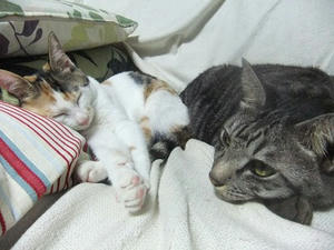 DSCF4064.JPG