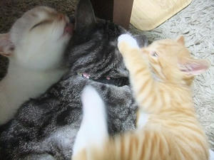 DSCF4077.JPG