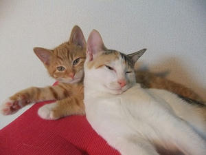 DSCF4084.JPG