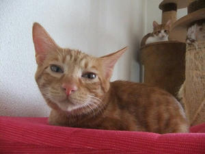 DSCF4107.JPG