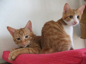 DSCF4112.JPG