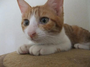 DSCF4110.JPG