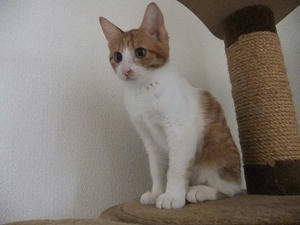 DSCF4101.JPG