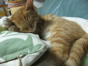 DSCF4136.JPG