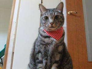 DSCF4182.JPG