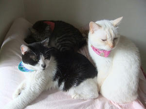 DSCF4195.JPG