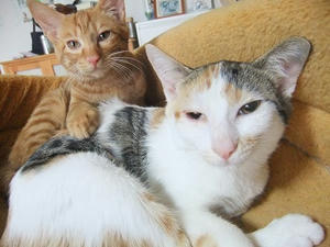 DSCF4162.JPG