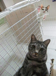 DSCF4080.JPG