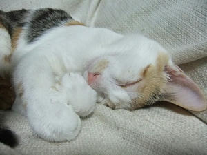 DSCF4167.JPG