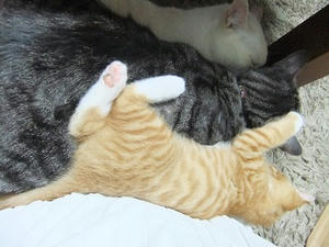 DSCF4076.JPG