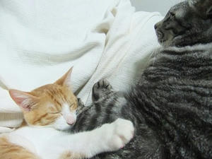 DSCF4140.JPG
