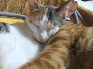 DSCF4212.JPG