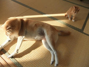 DSCF4238.JPG