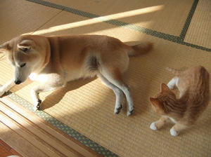 DSCF4239.JPG