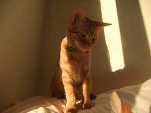 DSCF4262.JPG