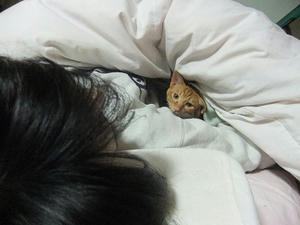 DSCF4264.JPG