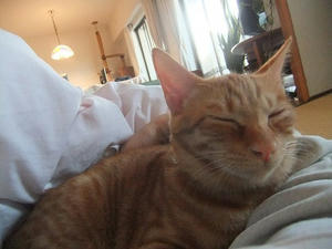 DSCF4291.JPG