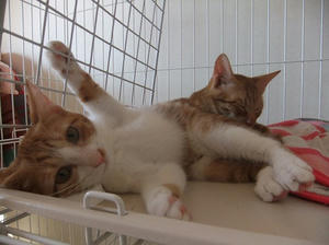 DSCF4150.JPG
