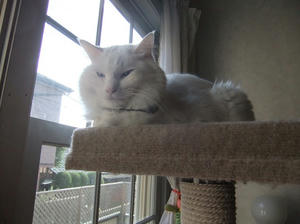 DSCF4330.JPG