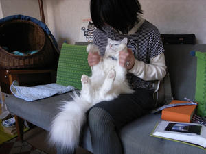 20101212_003.jpg