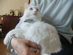 DSCF4328.JPG