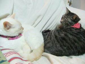 DSCF4189.JPG