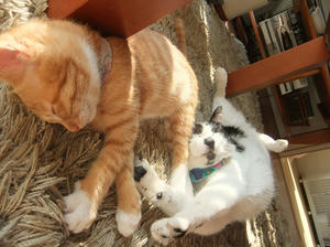 DSCF4309.JPG
