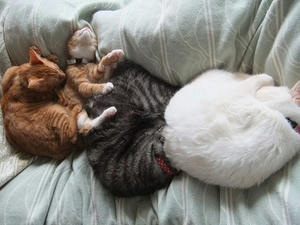 DSCF4372.JPG
