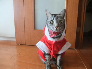 DSCF4421.JPG