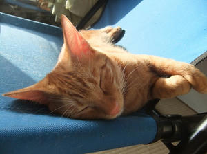 DSCF4399.JPG