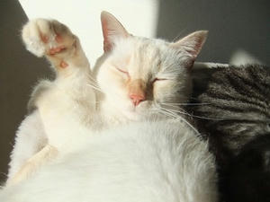 DSCF4408.JPG