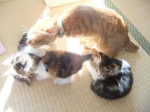 DSCF4532.JPG
