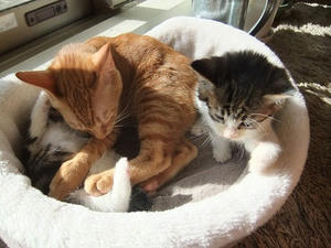 DSCF4550.JPG