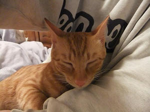 DSCF4591.JPG
