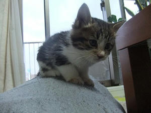 DSCF4620.JPG